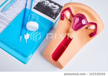 Gynecological examination with anatomical uterus model, Pap smear tools, ultrasound image and medical documents Gynecological examination with anatomical uterus model, Pap smear tools, ultrasound image and medical documents 141530505
