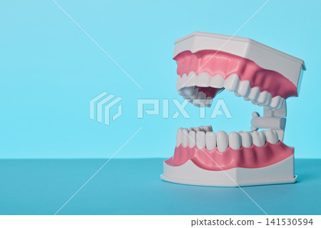 Dental jaw model half-open view. Orthodontic bite correction and teeth alignment consult. Dental jaw model half-open view. Orthodontic bite correction and teeth alignment consult. 141530594