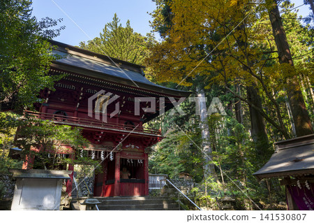 Autumn leaves at Hanazono Shrine gate Autumn leaves at Hanazono Shrine gate 141530807