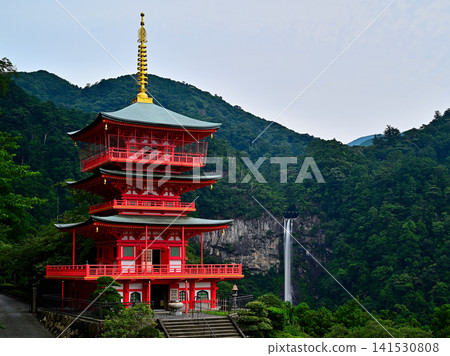 The three-story pagoda of Seiganto-ji Temple, a World Heritage Site, and the silky-flowing Nachi Falls (Nachikatsuura Town, Wakayama Prefecture) 141530808