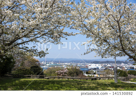 Hill overlooking Onahama Port Hill overlooking Onahama Port 141530892