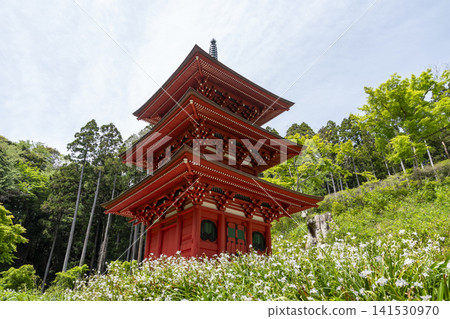 Kozoji Triple Tower 141530970