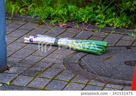 Lost and found in the urban landscape of Yokohama, Japan? ...A truly surreal sight here... It's said that leeks and the economy are linked... Lost and found in the urban landscape of Yokohama, Japan? ...A truly surreal sight here... It's said that leeks and the economy are linked... 141531475