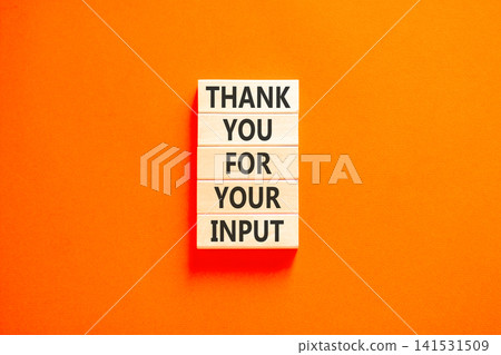 Thank you for your input symbol. Concept words Thank you for your input on beautiful wooden blocks. Beautiful orange background. Business and thank you for your input concept. Copy space. Thank you for your input symbol. Concept words Thank you for your input on beautiful wooden blocks. Beautiful orange background. Business and thank you for your input concept. Copy space. 141531509