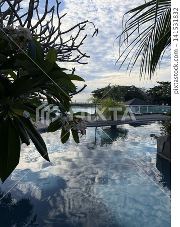 The tropical sky and plumeria reflected on the water's surface The tropical sky and plumeria reflected on the water's surface 141531832