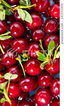 Glossy ripe red cherries with fresh green leaves and stems resting in water, creating rich reflections, bright color, natural texture and appetizing summer fruit composition Glossy ripe red cherries with fresh green leaves and stems resting in water, creating rich reflections, bright color, natural texture and appetizing summer fruit composition 141531930
