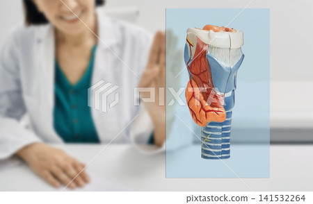 Endocrinology and throat consultation. Smiling female doctor welcoming patient next to detailed human larynx trachea anatomical model. 141532264