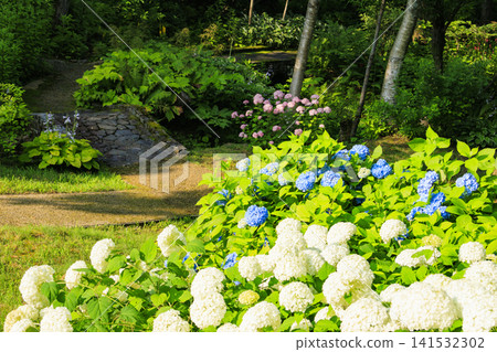 Hakuba Cortina English Garden Hakuba Cortina English Garden 141532302