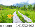 Tsugaike Nature Garden in summer, alpine plants in full bloom Tsugaike Nature Garden in summer, alpine plants in full bloom 141532402