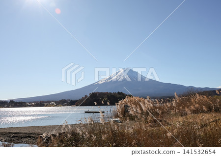 Mount Fuji View from Lake Kawaguchiko with Golden Reeds 141532654