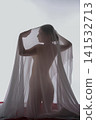 Artistic nude silhouette of elegant woman under white veil 141532713