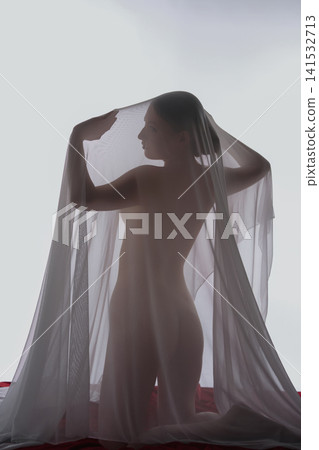 Artistic nude silhouette of elegant woman under white veil Artistic nude silhouette of elegant woman under white veil 141532713