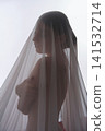 Ethereal portrait of woman in profile hidden behind translucent veil 141532714
