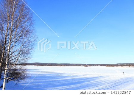 芬蘭拉普蘭的冰凍湖泊和越野滑雪 141532847