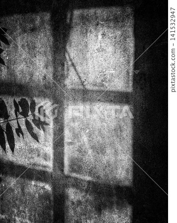 Monochrome aesthetic with sunlight and shadow play on old cement surface. Black and white photo of window frame and plant shadows on textured concrete wall. Monochrome aesthetic with sunlight and shadow play on old cement surface. Black and white photo of window frame and plant shadows on textured concrete wall. 141532947