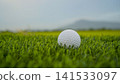 Golf ball on green grass in the evening golf course with sunshine background. 141533097
