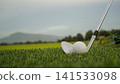 Golf clubs and balls on a green lawn in a beautiful golf course with morning sunshine. 141533098