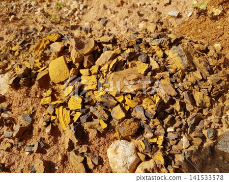 Golden-brown limonite fragments lie scattered on rugged quarry earth. This natural iron ore, raw and textural, showcases geological richness and mining potential Golden-brown limonite fragments lie scattered on rugged quarry earth. This natural iron ore, raw and textural, showcases geological richness and mining potential 141533578
