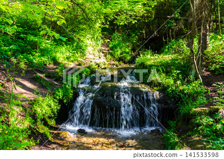 Crystal clear forest brook cascading over mossy rocks in a vibrant green woodland, a peaceful spring scenery with soothing water flow and lush surrounding vegetation on a sunny day Crystal clear forest brook cascading over mossy rocks in a vibrant green woodland, a peaceful spring scenery with soothing water flow and lush surrounding vegetation on a sunny day 141533598