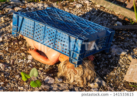 Creepy old doll trapped under a blue plastic crate on rocky ground, evoking a disturbing crime scene atmosphere with its abandoned and weathered appearance on a desolate dump site 141533615