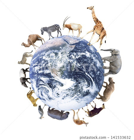 Animals living on Earth ※Elements of this image furnished by NA Animals living on Earth ※Elements of this image furnished by NA 141533632