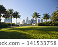 Waterfront Park With Palm Trees Facing Downtown Skyline 141533758