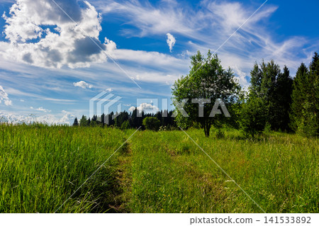 Lush green meadow with a lone tree standing out under a bright summer sky featuring wispy cirrus clouds and a vibrant deep blue atmosphere on a sunny day Lush green meadow with a lone tree standing out under a bright summer sky featuring wispy cirrus clouds and a vibrant deep blue atmosphere on a sunny day 141533892