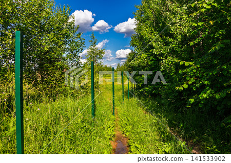 New metal fence posts blocking a rural dirt path through a grassy meadow and forest, representing land development and property boundaries in a countryside landscape New metal fence posts blocking a rural dirt path through a grassy meadow and forest, representing land development and property boundaries in a countryside landscape 141533902