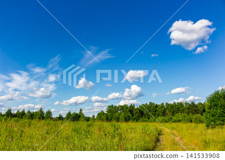 Vivid green summer meadow with a dirt path winding through lush grass under a brilliant azure sky filled with fluffy white clouds, capturing the pure essence of nature Vivid green summer meadow with a dirt path winding through lush grass under a brilliant azure sky filled with fluffy white clouds, capturing the pure essence of nature 141533908