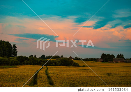 Golden Sunset Over Rural Farmland and Countryside Landscape Golden Sunset Over Rural Farmland and Countryside Landscape 141533984