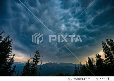 Dramatic Mammatus Clouds Above Mountain Forest Before Storm 141534010