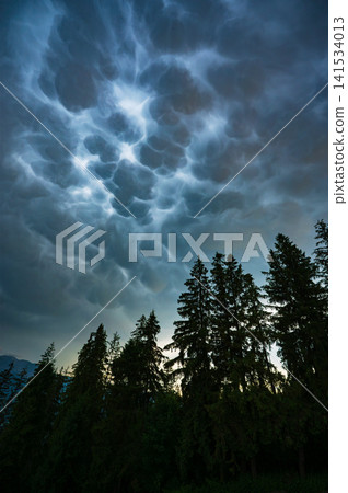 Dramatic Mammatus Clouds Above Mountain Forest Before Storm Dramatic Mammatus Clouds Above Mountain Forest Before Storm 141534013