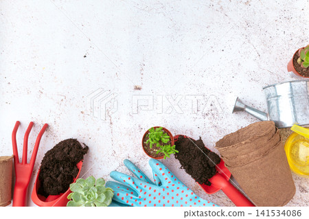 Gardening Tools and Plants Flat Lay with Copy Space Gardening Tools and Plants Flat Lay with Copy Space 141534086