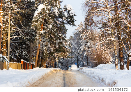 Sunlit winter road carves through a majestic snow-laden pine forest. Golden light highlights frosty branches and fresh snow, painting a tranquil, picturesque landscape Sunlit winter road carves through a majestic snow-laden pine forest. Golden light highlights frosty branches and fresh snow, painting a tranquil, picturesque landscape 141534172