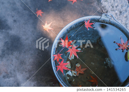 [Bishamondo Monzeki] The entire area is dyed a vibrant red by the colorful autumn leaves. 141534265