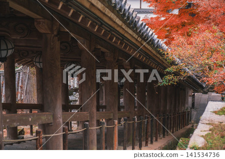 [Hase-dera Temple] Stunningly vibrant red autumn leaves! Scenery of a temple deep in the mountains of Nara. 141534736
