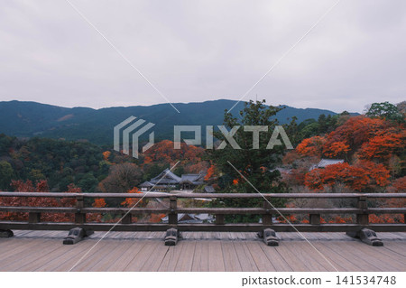 [Hase-dera Temple] Stunningly vibrant red autumn leaves! Scenery of a temple deep in the mountains of Nara. 141534748