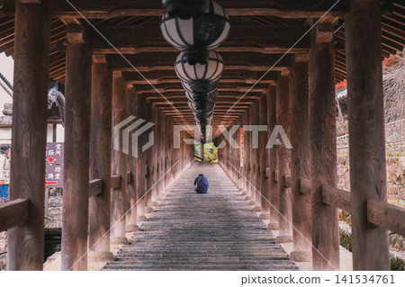 【長谷寺】奈良深山中的寺廟景色 【長谷寺】奈良深山中的寺廟景色 141534761
