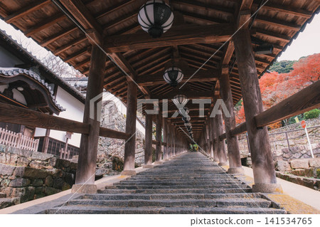 [Hase-dera Temple] Scenery of a temple deep in the mountains of Nara 141534765