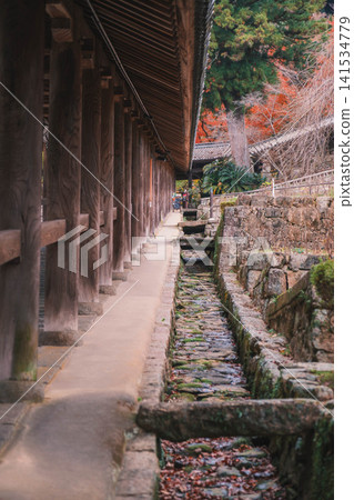 [Hase-dera Temple] Scenery of a temple deep in the mountains of Nara 141534779