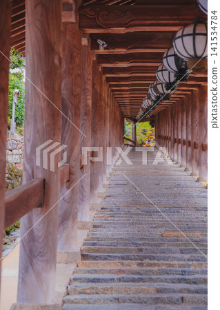 [Hase-dera Temple] Scenery of a temple deep in the mountains of Nara 141534784