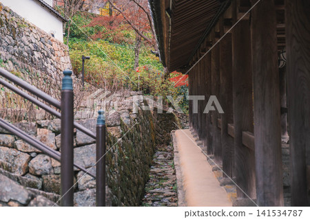 [Hase-dera Temple] Scenery of a temple deep in the mountains of Nara 141534787