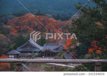 【長谷寺】絢麗的紅色秋葉!奈良深山中寺廟的景色。 【長谷寺】絢麗的紅色秋葉!奈良深山中寺廟的景色。 141534850