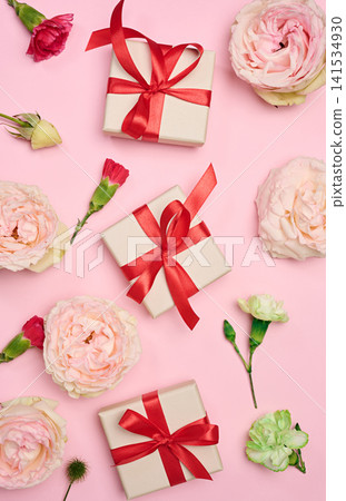 Gift boxes tied with a red ribbon and blooming white and green carnations on a pink background Gift boxes tied with a red ribbon and blooming white and green carnations on a pink background 141534930