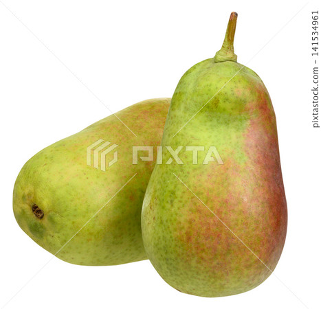 Two ripe green pears with a slight blush on an isolated background. Two ripe green pears with a slight blush on an isolated background. 141534961