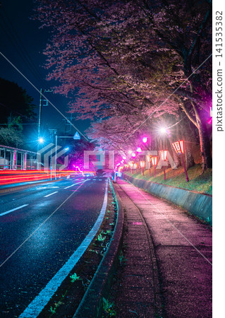在小見川城公園，燈光映襯下的櫻花和燈光軌跡營造出美麗的春夜景色。 141535382
