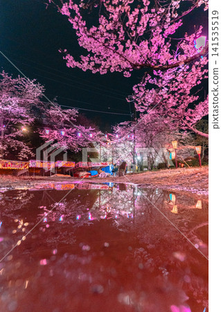 夜幕降臨，大見川城公園的櫻花在燈光的映襯下，水面上倒映著小吃攤的景象。 141535519