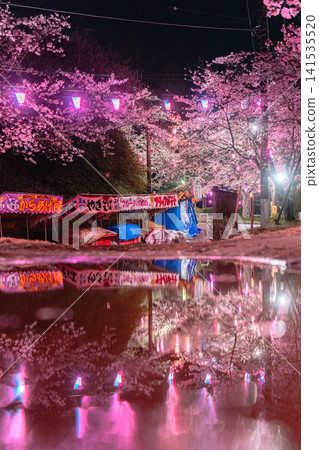 夜幕降臨，大見川城公園的櫻花在燈光的映襯下，水面上倒映著小吃攤的景象。 141535520