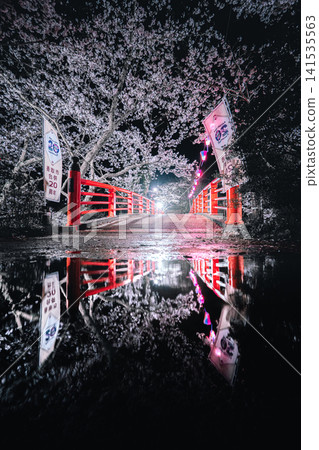 大見川城公園的夜間櫻花燈光秀及其在紅橋上的倒影。 大見川城公園的夜間櫻花燈光秀及其在紅橋上的倒影。 141535563