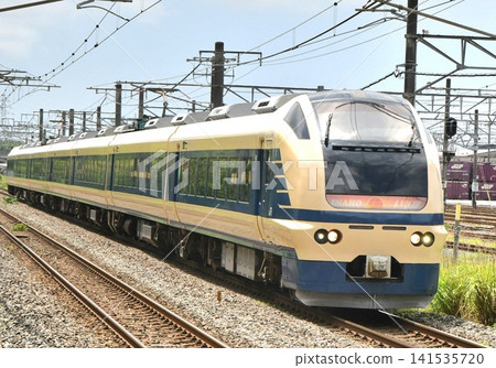 Limited Express Inaho 583系列彩色 141535720